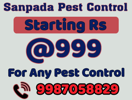  Pest Control